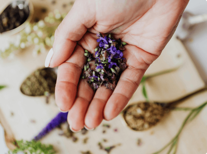 Top Herbs for Natural Wellness