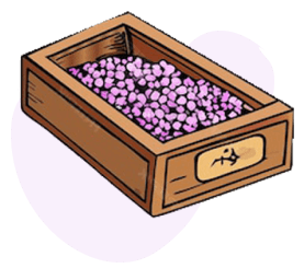 Box of Herbs